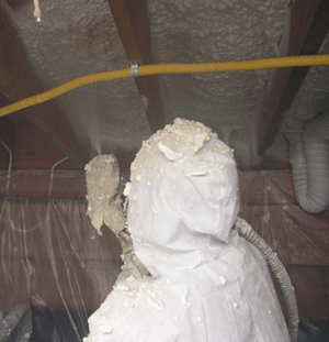 Overland Park KS crawl space insulation